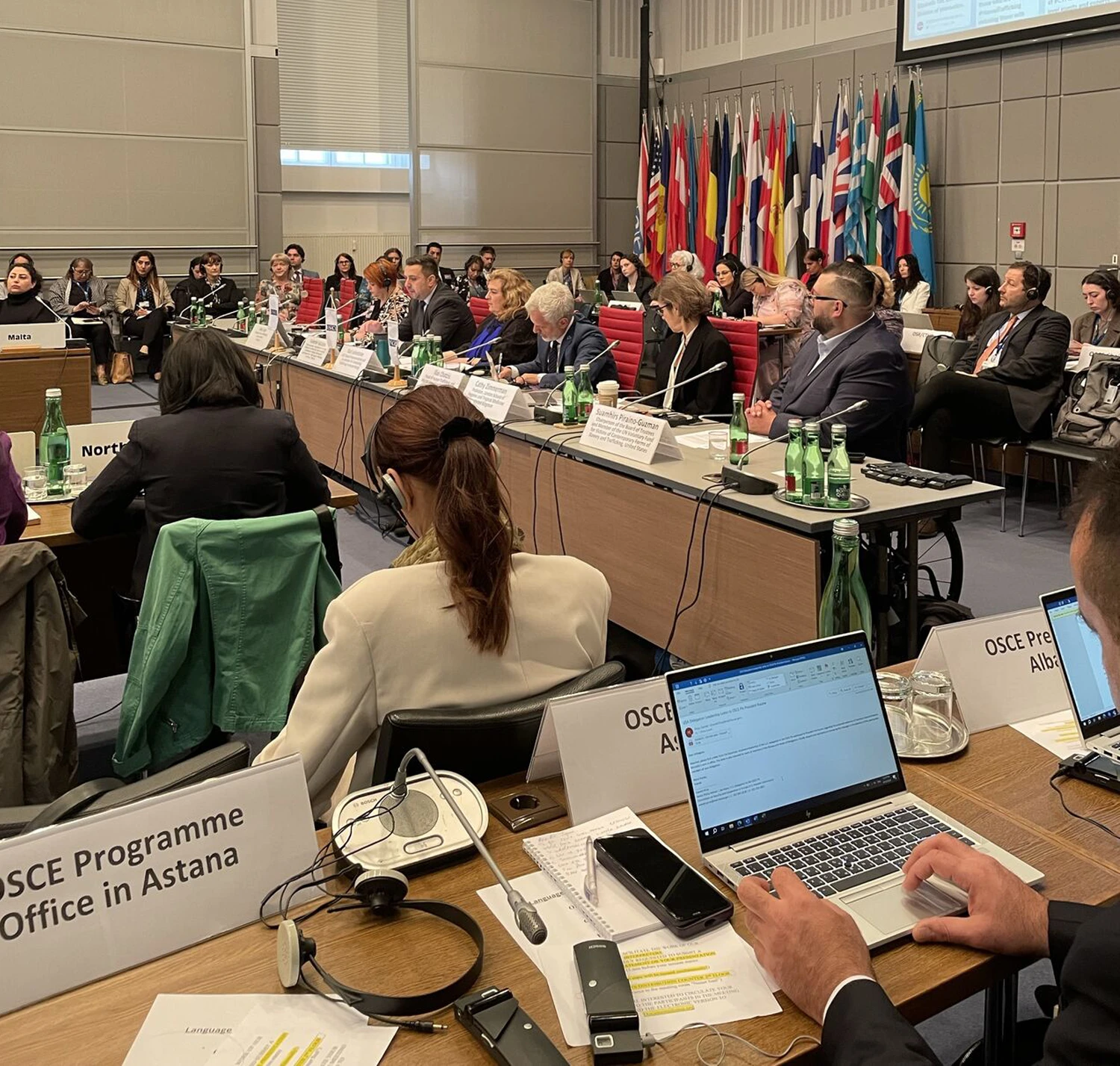 ROSA at the OSCE conference in Vienna - ROSA rosa-help.no